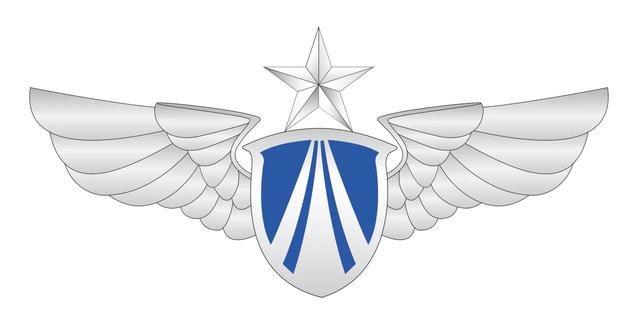 中国空军标志高清图片，荣耀与力量之象征，中国空军标志高清图片，荣耀与力量的象征