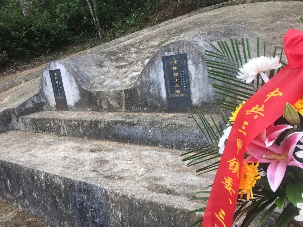 歼八甲，中国空中力量的杰出代表，歼八甲，中国空中力量的璀璨明珠