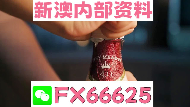 新澳门一码一码，揭秘准确预测的奥秘，揭秘新澳门一码一码准确预测奥秘