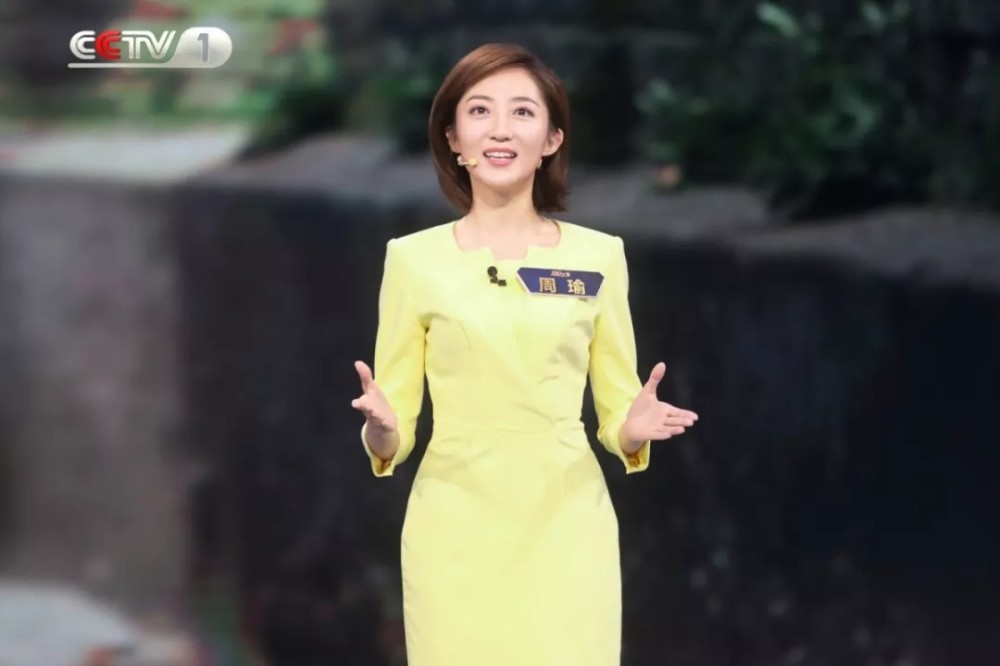 军事频道主持人名单大全及其角色解析，军事频道主持人名单大全与角色深度解析