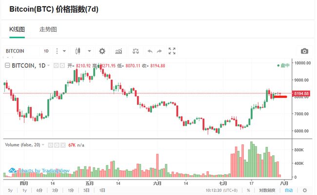 王中王资科一肖中持天，探索未知领域的先锋力量，王中王资科一肖，先锋力量探索未知领域