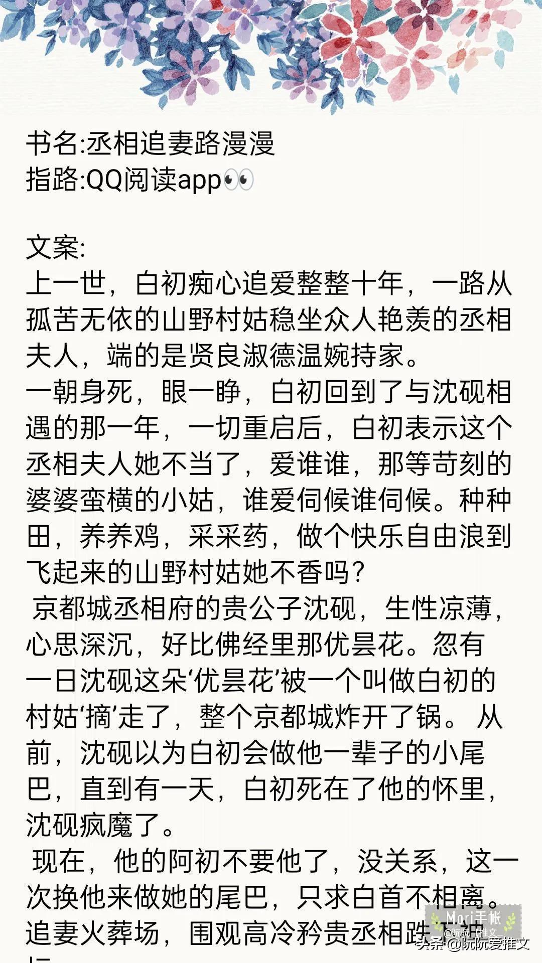 丞相今天火葬场了吗？——历史与现代交织的思考，丞相与现代视角下的历史思考，火葬场背后的时代变迁