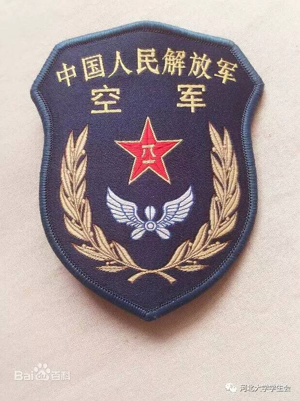 中国人民解放军陆军部队