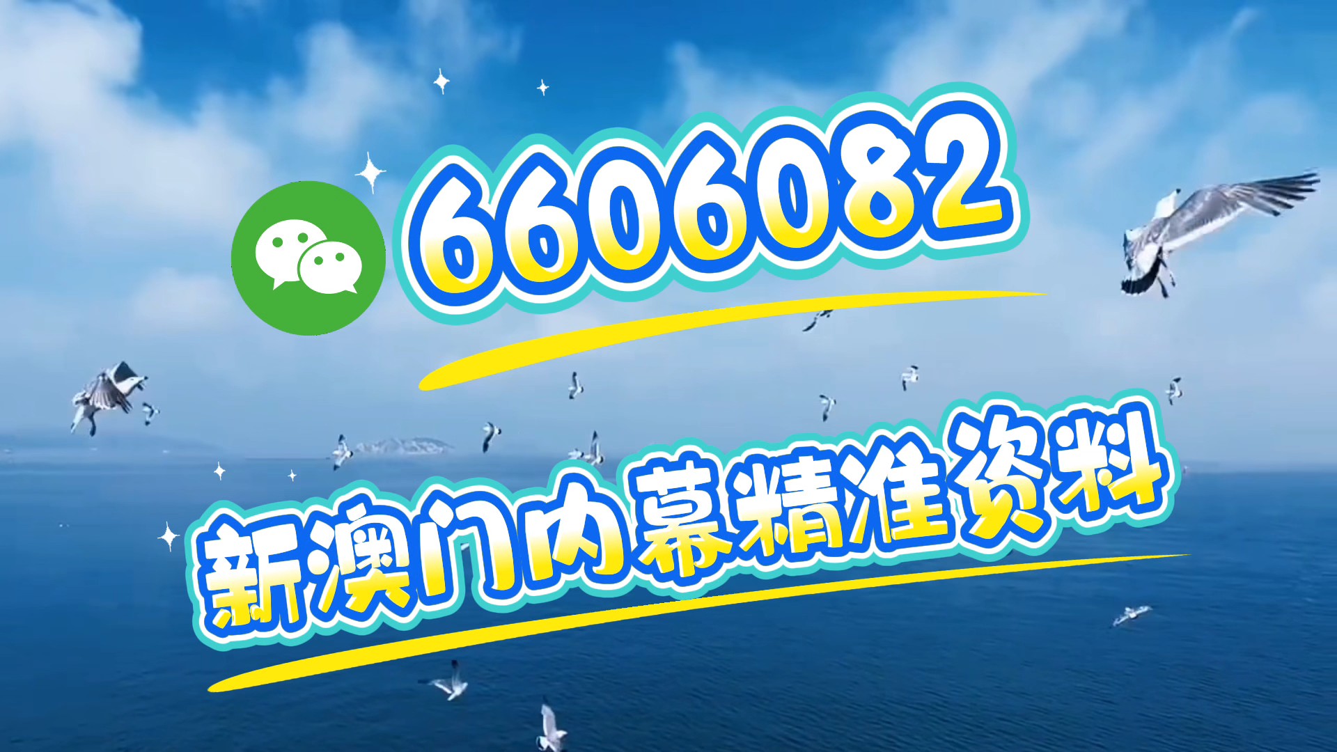澳门期期准一肖一码，探索与揭秘，澳门期期准一肖一码揭秘与探索之旅