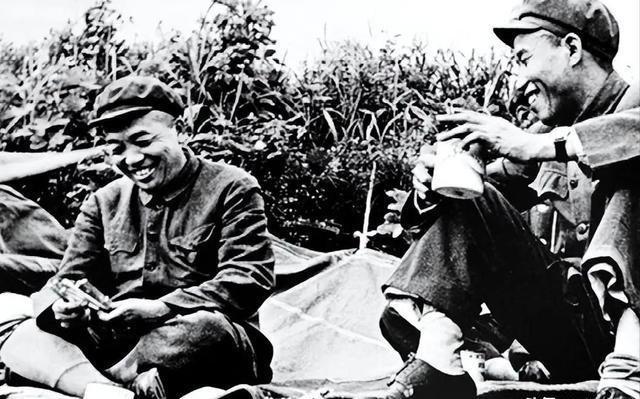 四大野战军兵力，历史与现状的透视，四大野战军兵力，历史与现状深度解析