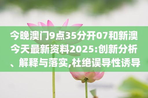 新澳2025年最新发展资料深度解析，新澳2025年发展资料深度解析与展望