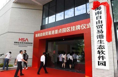 中央突然释放强烈信号，引领未来发展的新动向，中央释放强烈信号，引领未来发展的新动向