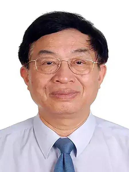 国家勋章排名，荣誉的象征与时代的标杆，国家勋章，荣誉的象征，时代的标杆之巅