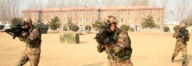中国11式步枪，现代战场上的锐利之刃，中国11式步枪，现代战场上的精英利器