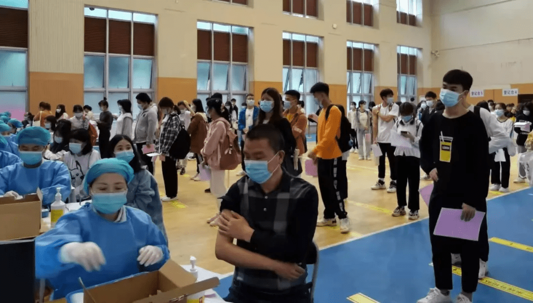 台海最新24小时消息与张召忠专家解读，台海最新动态揭秘，张召忠专家深度解读24小时消息