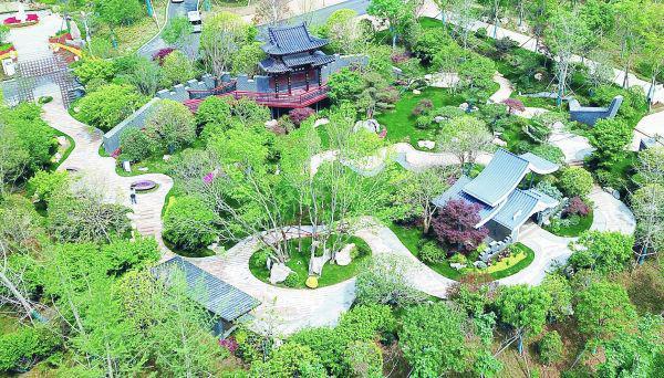 襄阳最新新闻消息概览，襄阳最新新闻概览