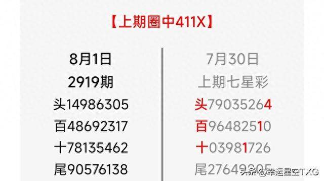 王中王一肖五码，探索神秘数字世界的奥秘，王中王一肖五码，揭开数字世界的神秘面纱