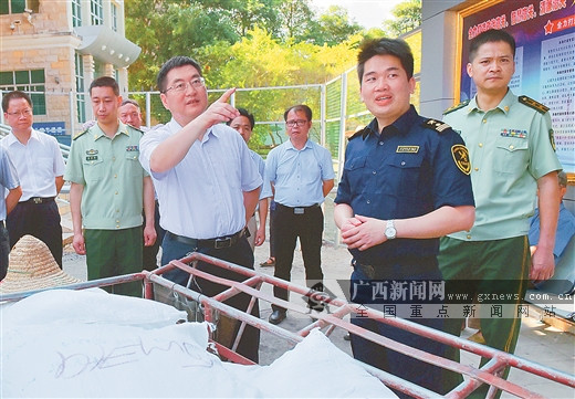 合浦县今日特大新闻——揭幕县域发展新篇章,合浦县揭幕县域发展新篇章,今日特大新闻速递