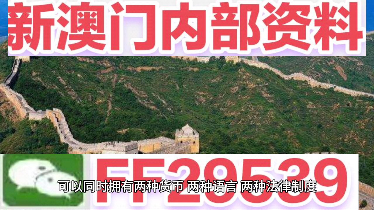澳门六今晚开奖结果揭晓,探索彩票背后的故事,澳门六今晚开奖结果揭晓,彩票背后的故事揭秘