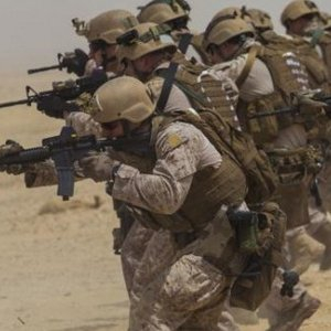 美国海军陆战一师,荣耀与传奇的铸就者,美国海军陆战一师,荣耀与传奇的战士