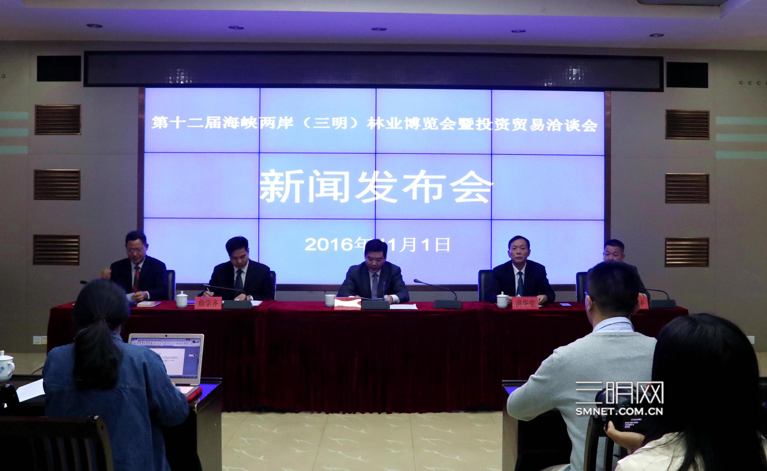 我看海峡两岸新闻,深度分析与独特视角,海峡两岸新闻深度分析与独特视角观察